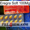 Eregra Soft 100Mg new01